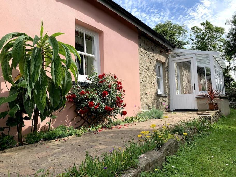 Millbay Cottage: Wonderful River Views Cosheston Exterior foto