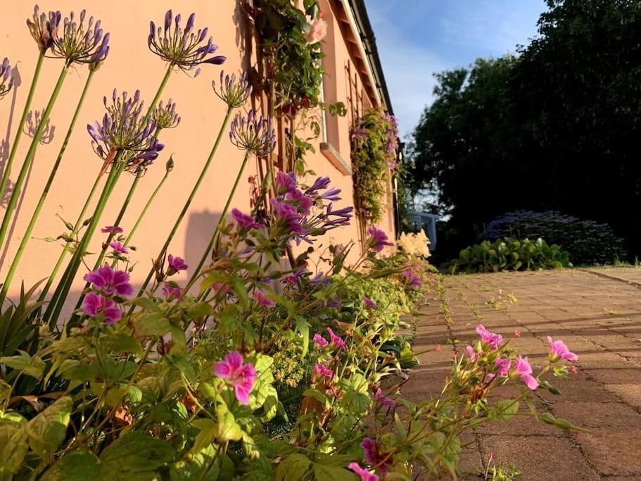 Millbay Cottage: Wonderful River Views Cosheston Exterior foto