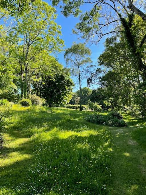 Millbay Cottage: Wonderful River Views Cosheston Exterior foto